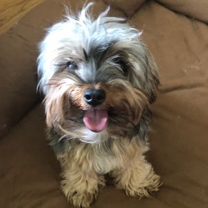 Meet your Posher, Lisa